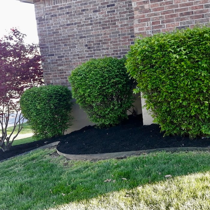 Mulch