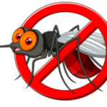 No more Mosquitoes
