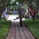 Spraying the underbrush