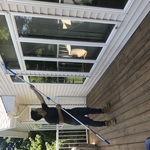 Window cleaning