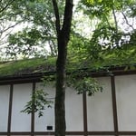 REPAIR ROOFING