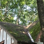 REPAIR ROOFING