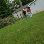 Tree work