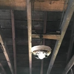 Clear ceiling with nails pulled