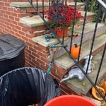 Step/tread restoration