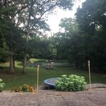 Lawn Care