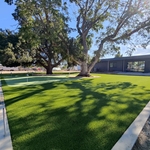 Turf