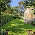 Turf