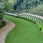 Turf