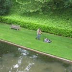 Lawn Mowing