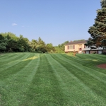 lawn maintenance