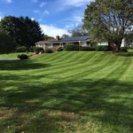 lawn maintenance