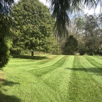lawn maintenance