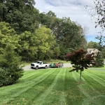 lawn maintenance