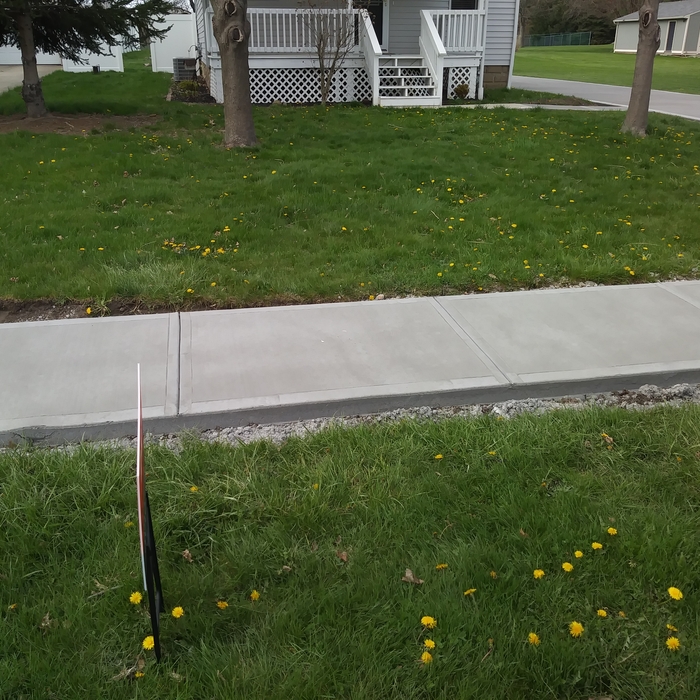 Sidewalk