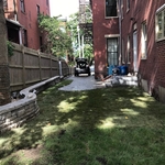 Backyard Renovation