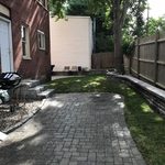 Backyard Renovation
