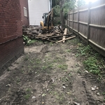 Backyard Renovation