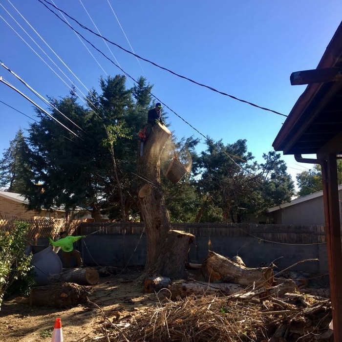 Project  Arizona  NE Alb