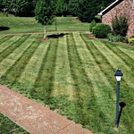 Lines