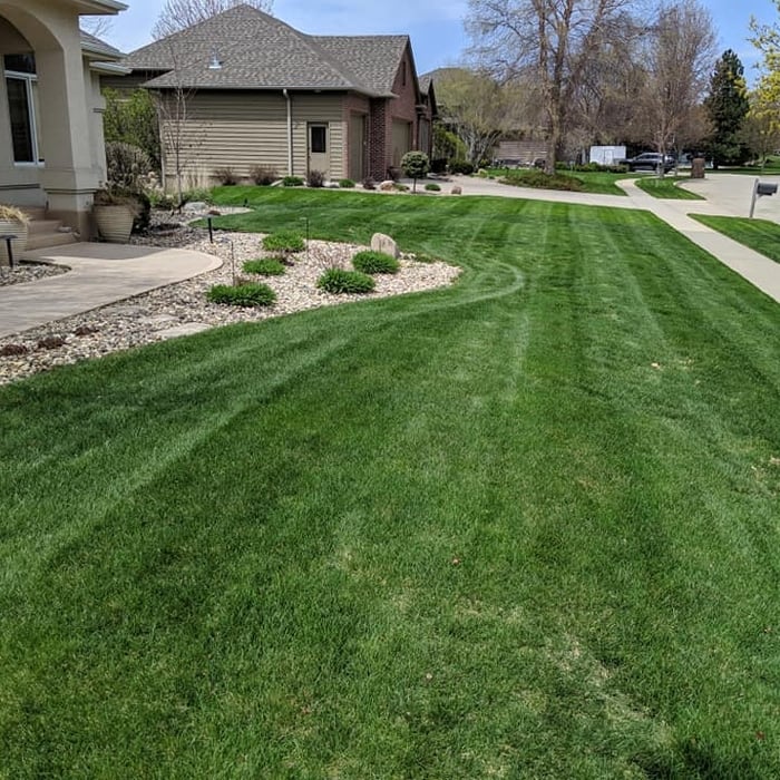 front yard