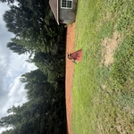 Temple Lot Level