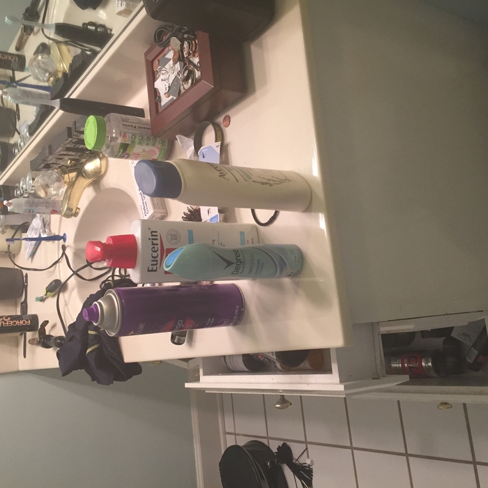 Master bathroom 2