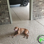 Garage Floor