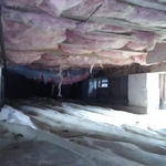 damage from roof rats