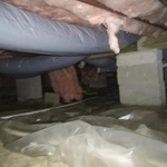 damage from roof rats