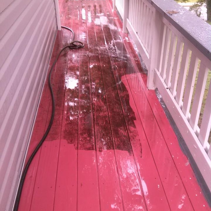 Painted Deck, Siding, & Railing
