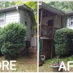 Shrub Pruning