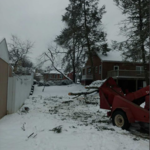 Tree Removal