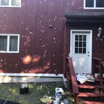 ski house