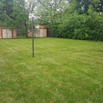 Lawn Mowing