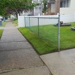 Lawn Mowing