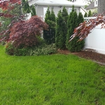 Lawn Mowing, Mulch Installation and Shrub Trimming