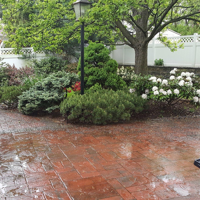 Lawn Mowing, and Shrub Trimming
