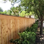 Cap and Trim Cedar Fence