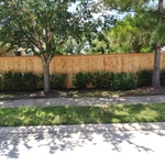Cedar Fence
