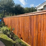 Beautiful Fence and Stain