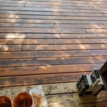 Staining process