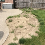 Landscape project