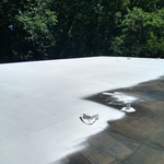 Roof coat