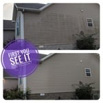 Thick Mold Removal