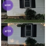 Mud Removal