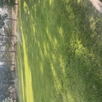Sprinklers