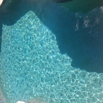 Weekly Maintenance Pool