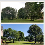 Before and after