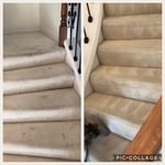 Plush White carpet